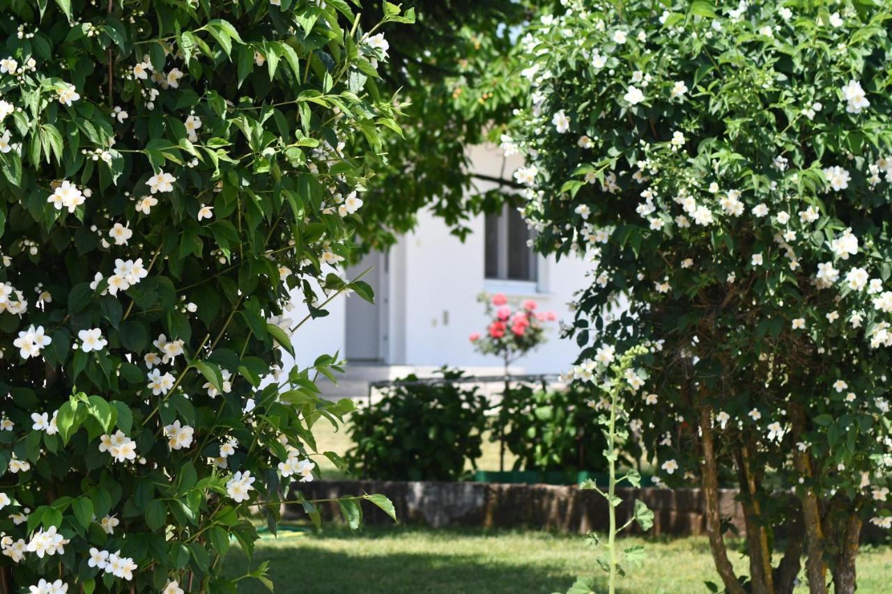 Casa Del Pellegrino M&A - Ostojici Hotel Medjugorje Exterior photo