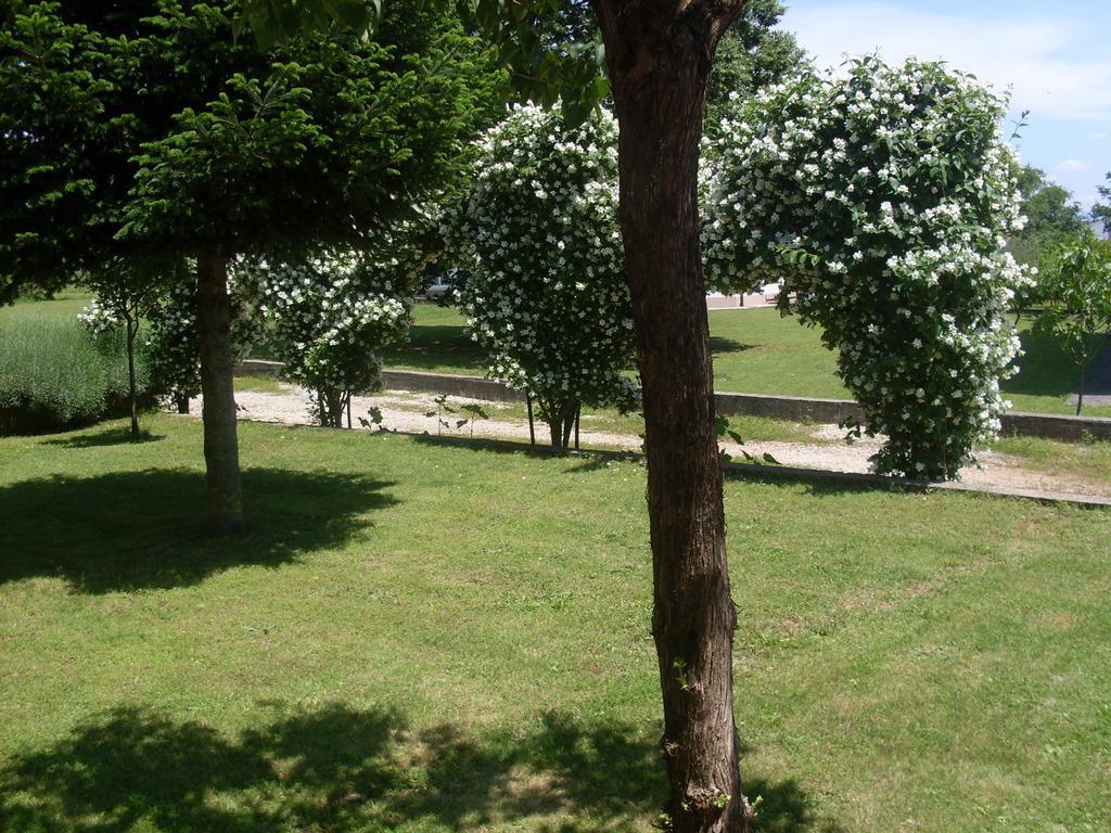 Casa Del Pellegrino M&A - Ostojici Hotel Medjugorje Exterior photo
